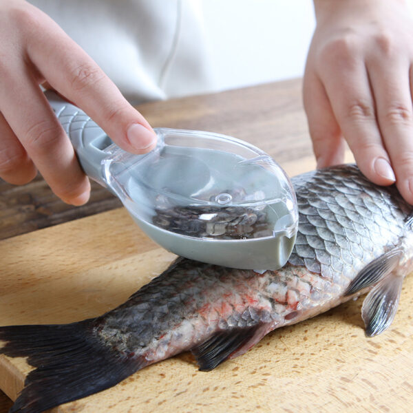 Brosse pour peau de poisson, brosse pour gratter les écailles, râpe, démontage rapide, couteau à poisson, nettoyage, éplucheur, grattoir, grattoir à écailles, ustensiles de cuisine