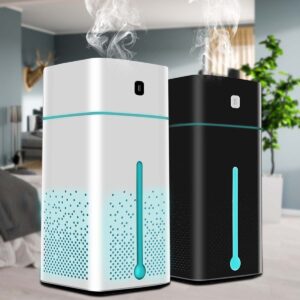 Purificateur d'air et humidificateur