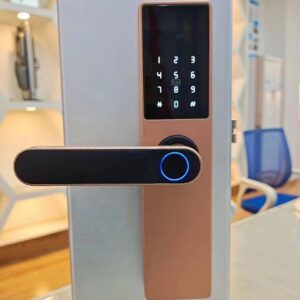 Serrure à empreinte digitale pour porte en bois « Graffiti Pass »