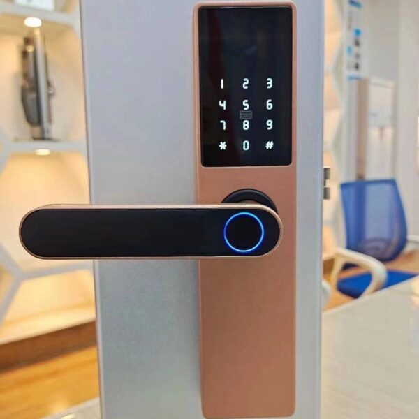 Serrure à empreinte digitale pour porte en bois « Graffiti Pass »