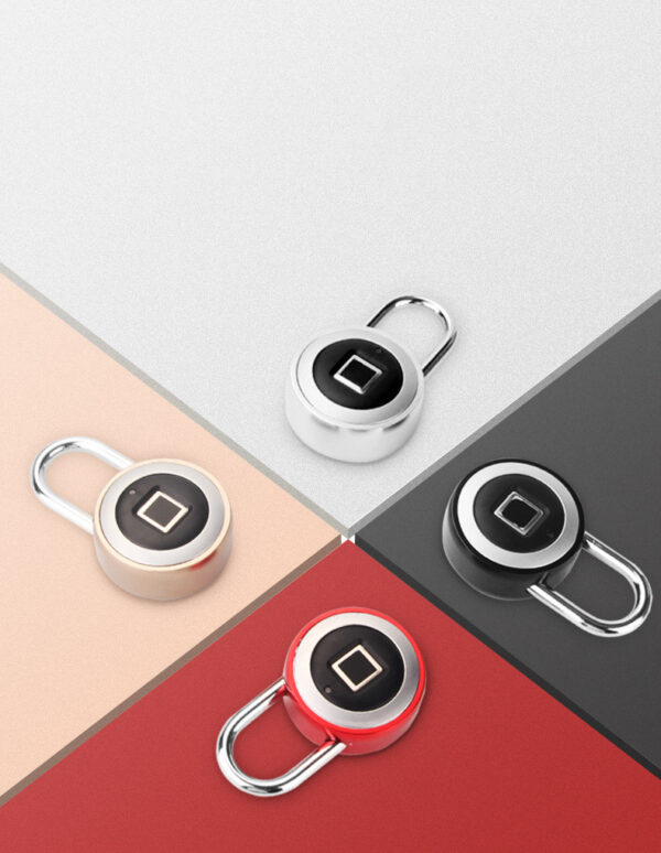 Cadenas à empreinte digitale, petites serrures intelligentes, serrures antivol à empreinte digitale, cadenas