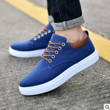 Baskets d'hiver décontractées pour homme - Chaussures plates en toile